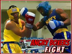 Angry Boxers kämpar