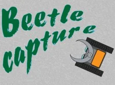 Captura de Beetle.