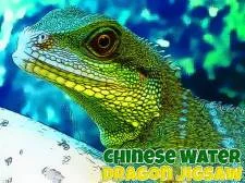 Jigsaw del drago dell'acqua cinese