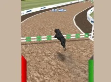 Dog Racing Simulator