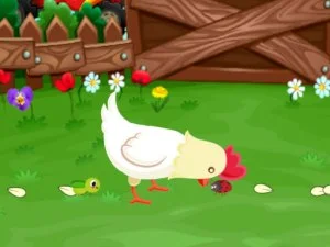 Stupid Chicken